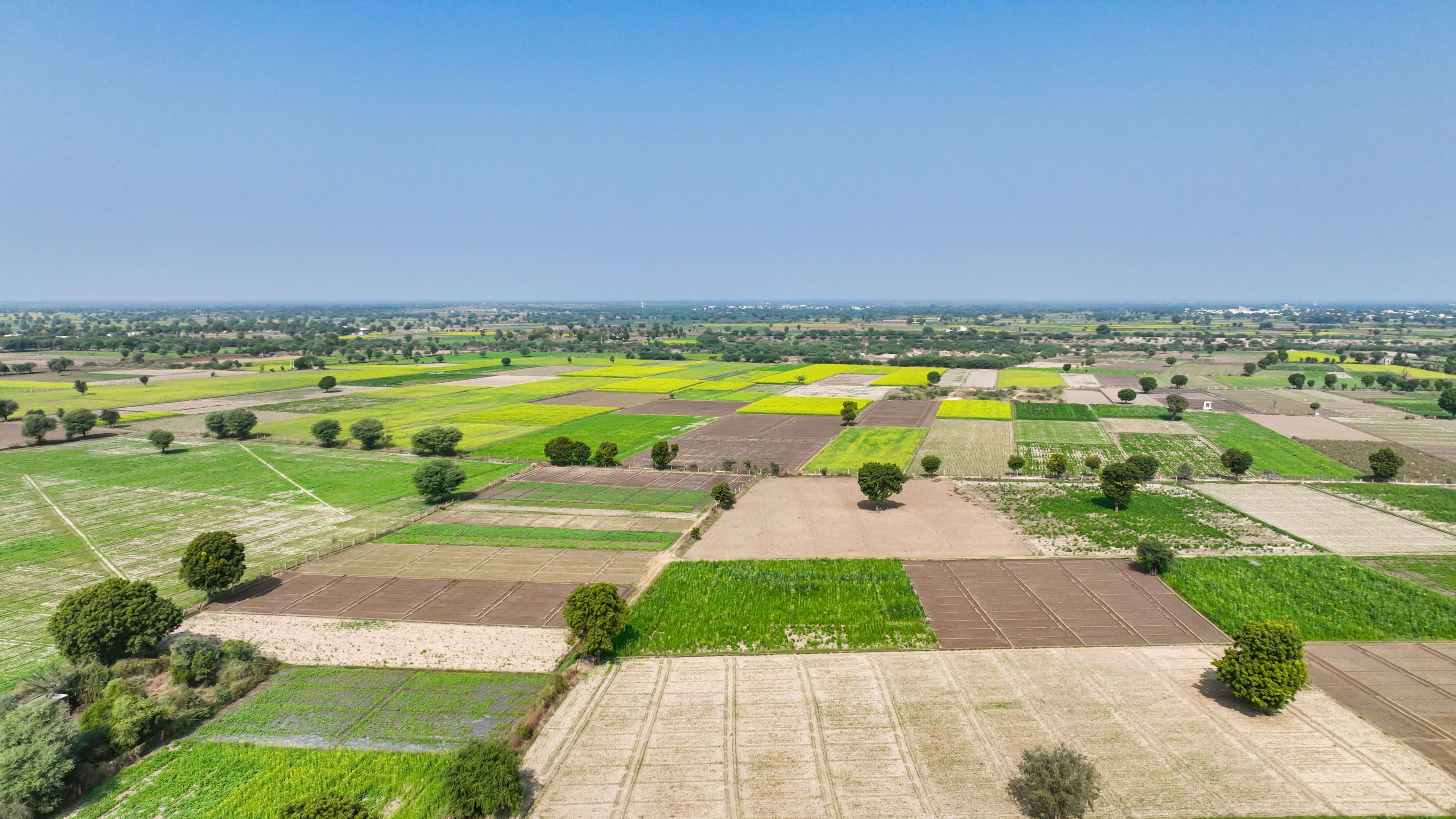 Land Acquisition & Development