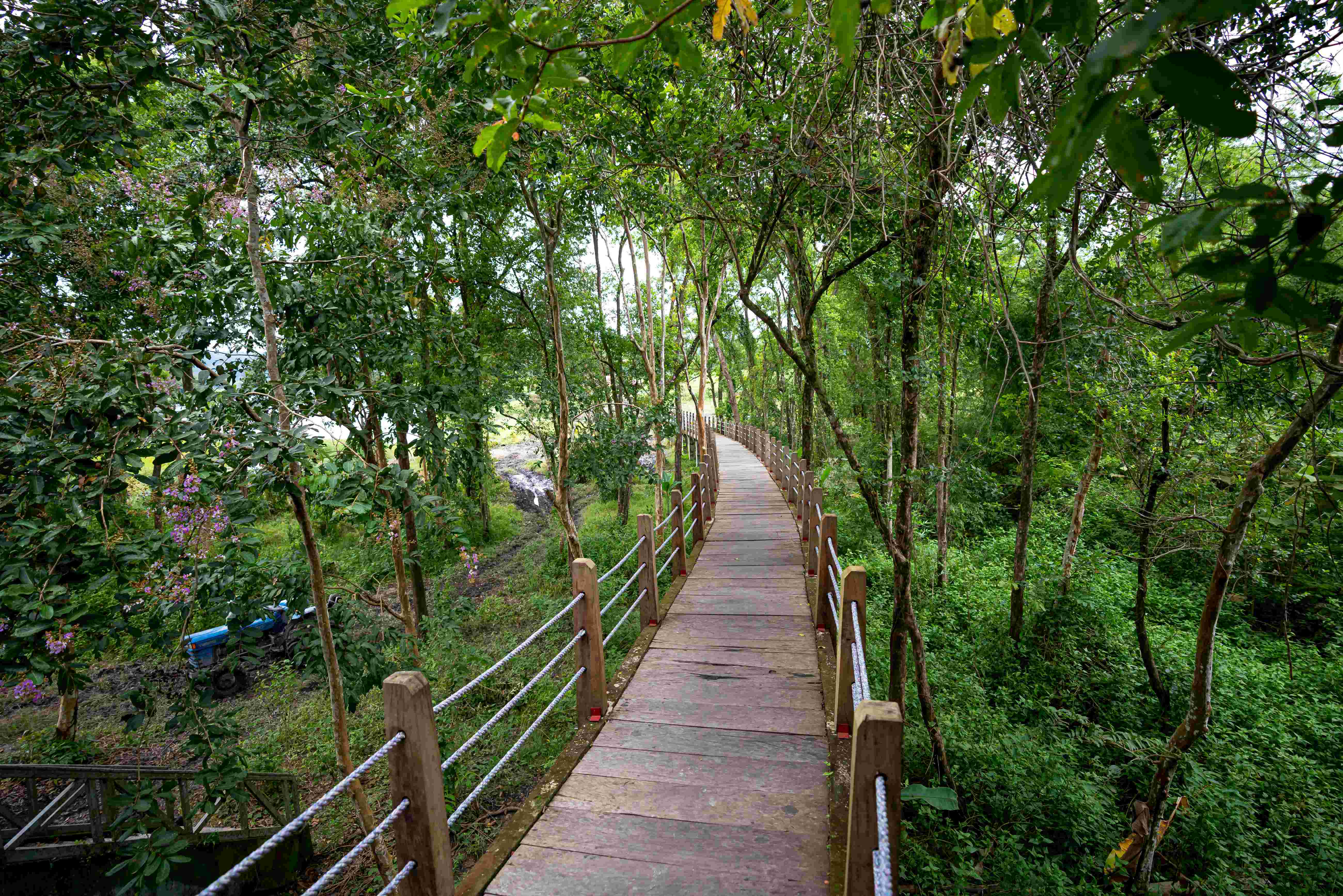 Nature Trails